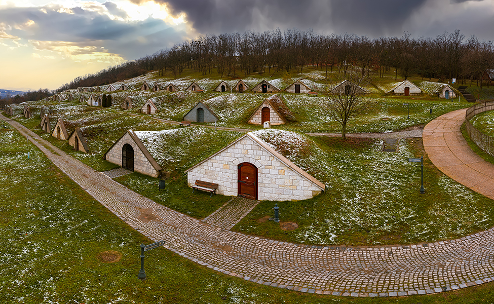 Tokaji borvidék