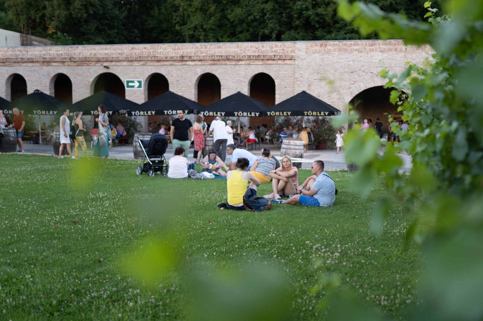 Board games, wine tours, a cellar maze: everything can happen in Budafok