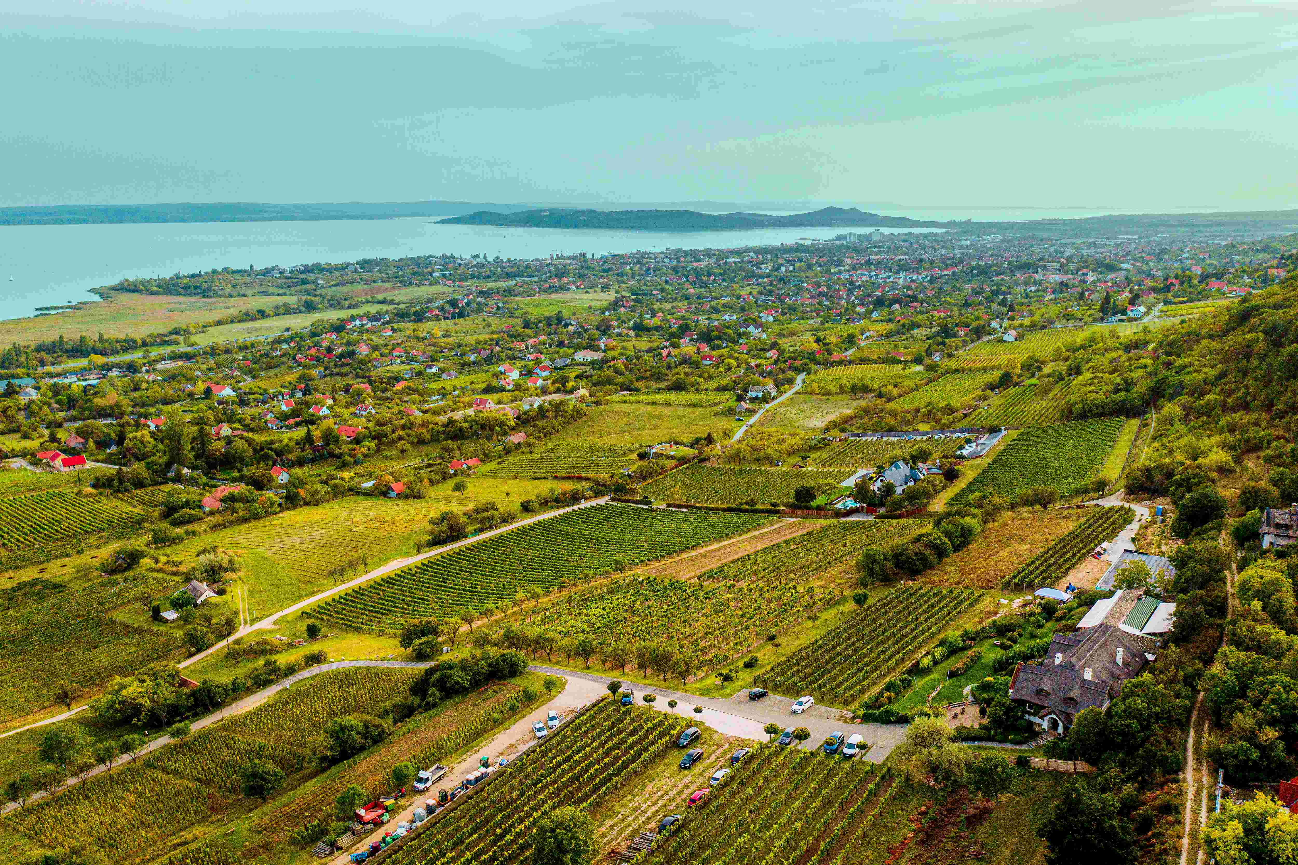 Eredetvédett borok a Balatonnál
