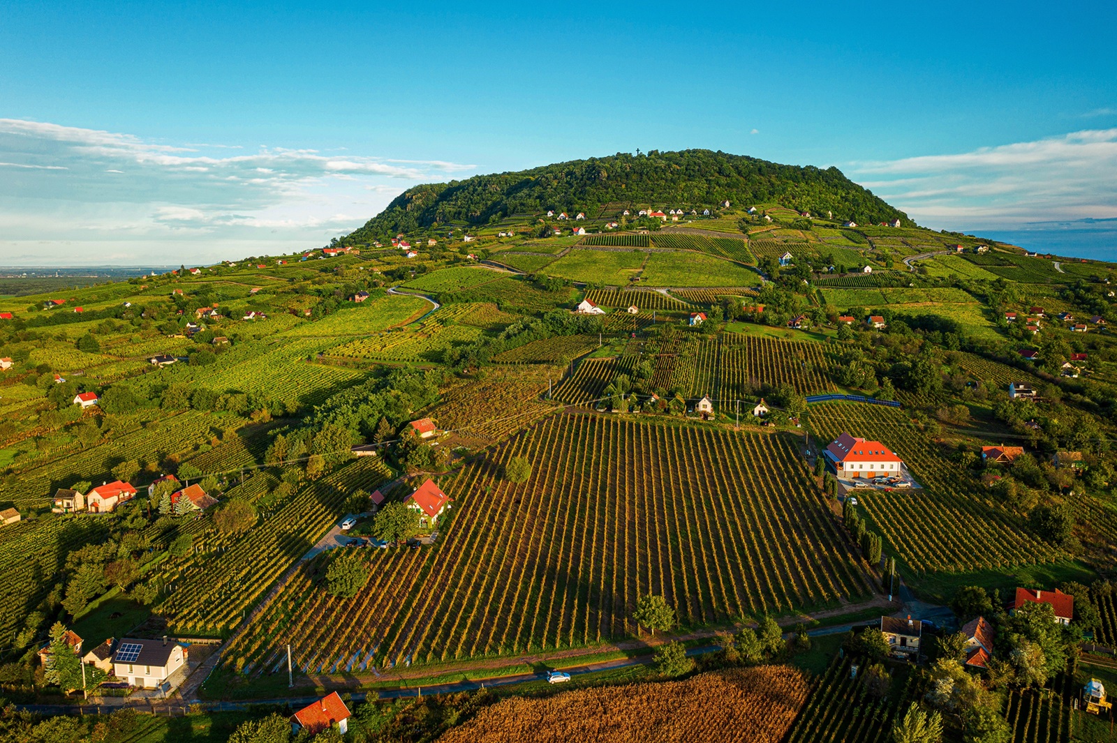The Hungarian Wine Summit, the biggest international wine trade event of the year, is coming up
