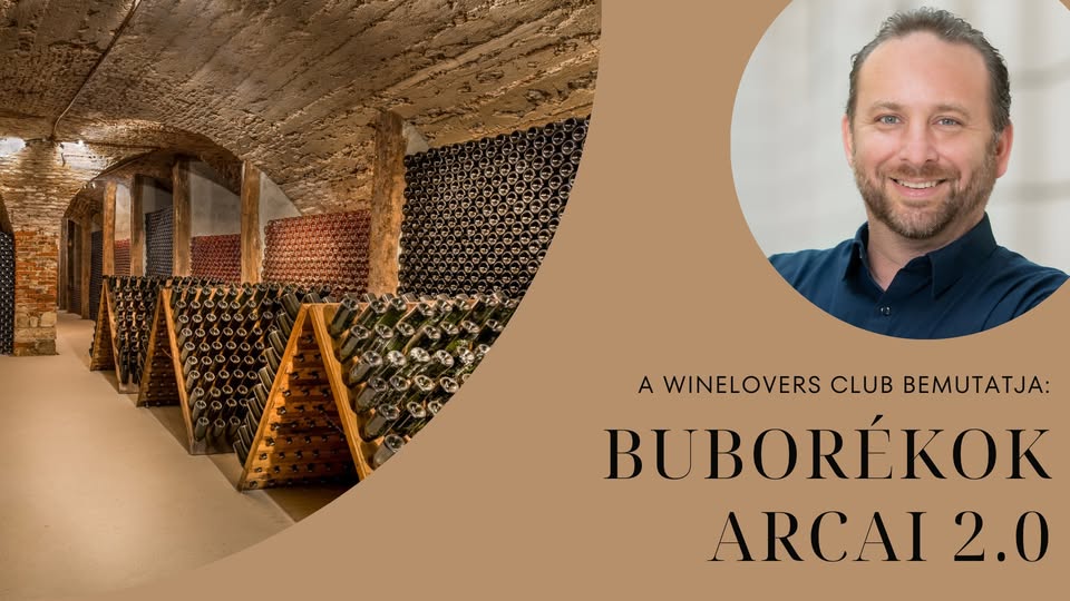 Buborékok arcai 2.0