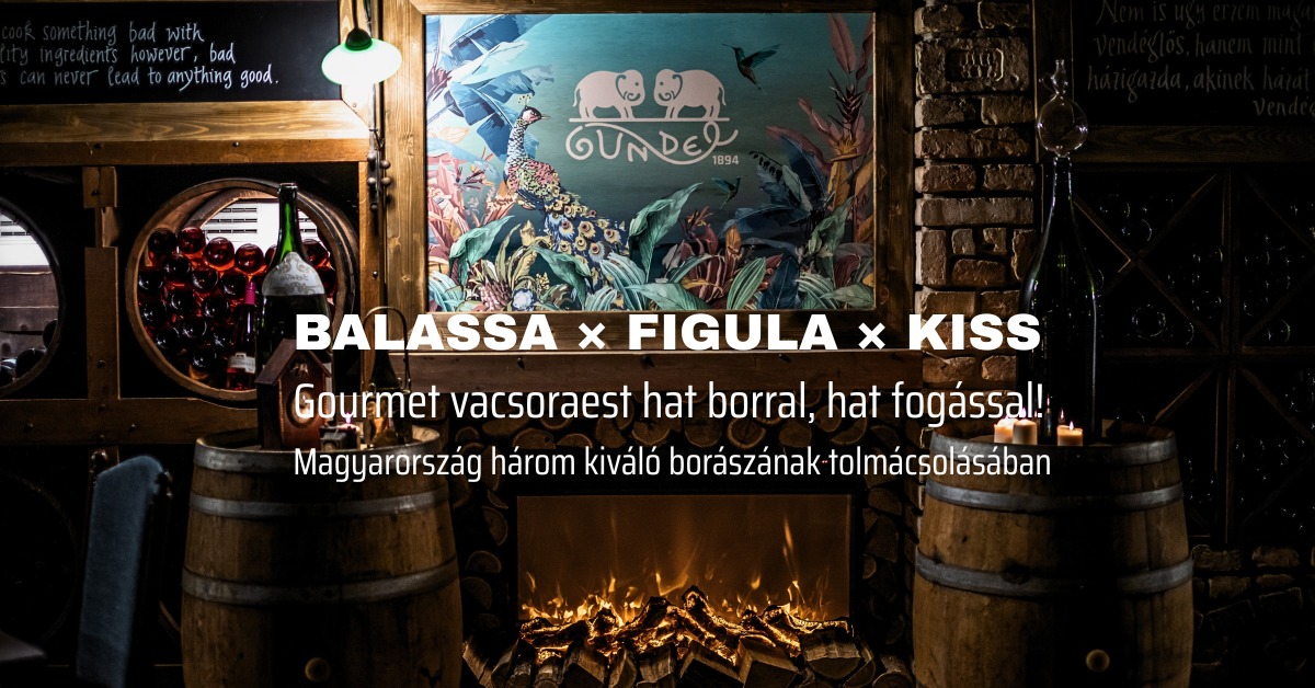 Gourmet dinner with 6 wines, 6 courses, 3 winemakers - Balassa × Figula × Kiss