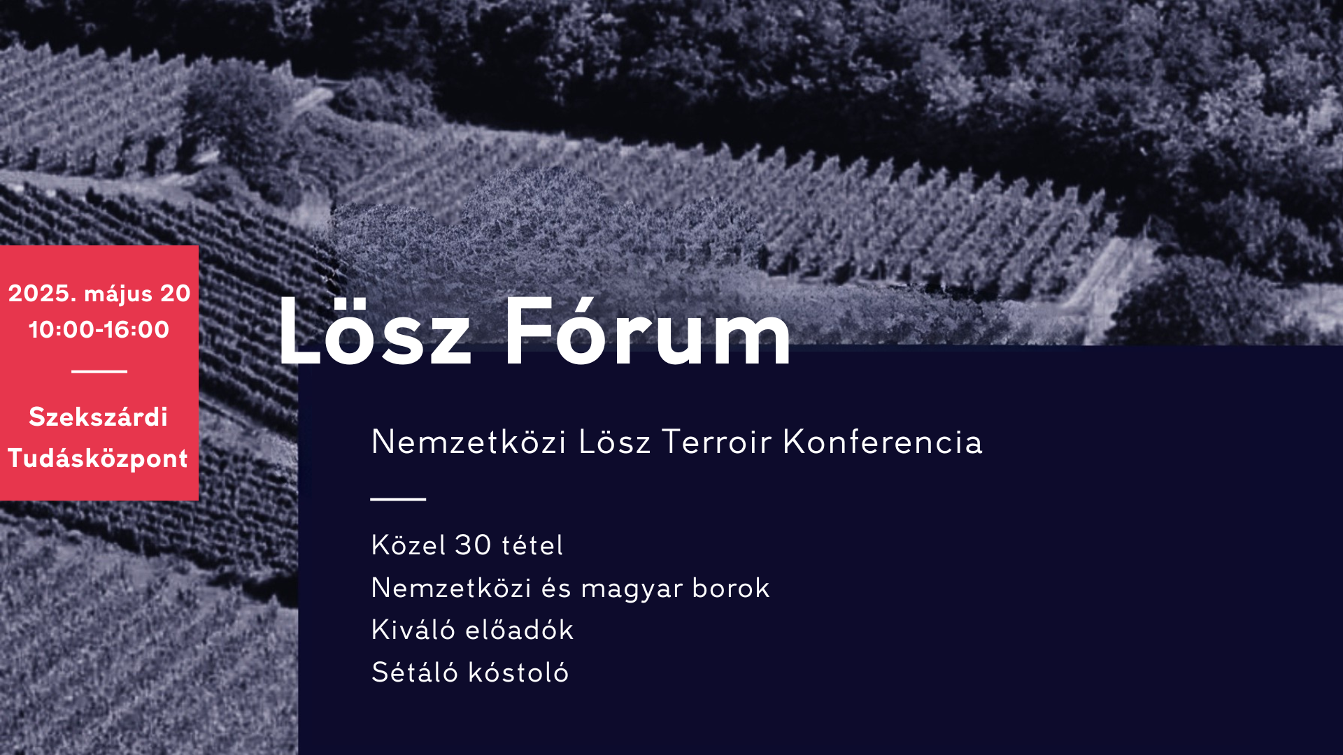 Nemzetközi Lösz Terroir Konferencia