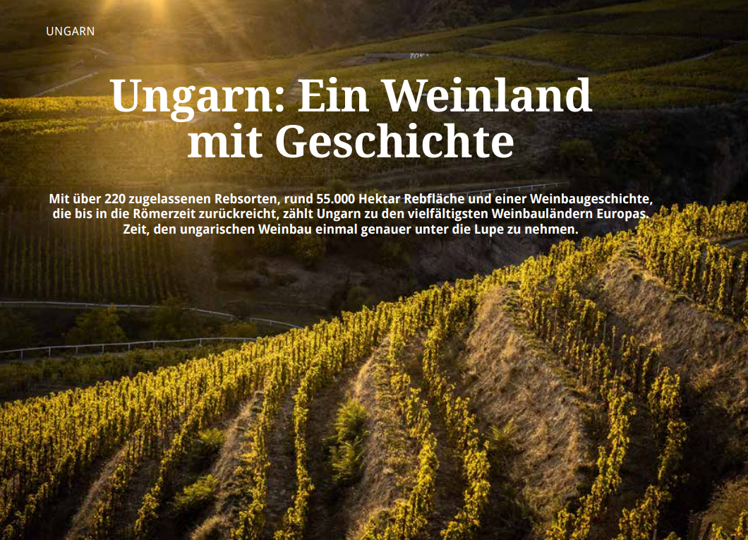 Hungarian Wines Featured in Germany’s Leading Wine Trade Magazine