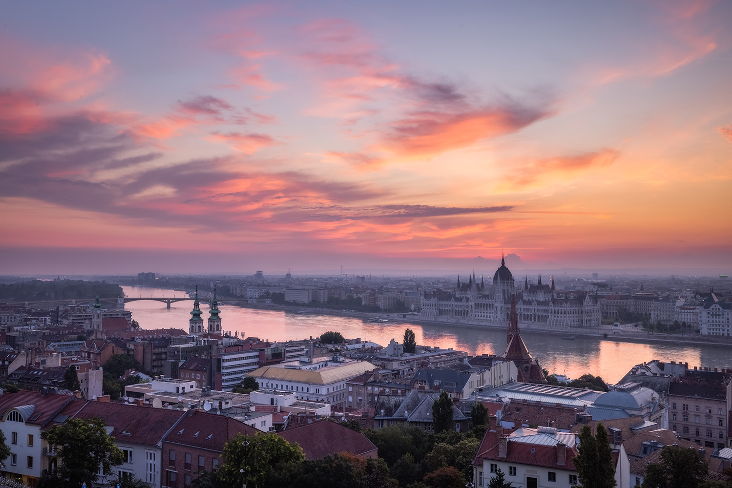 Budapest wine history