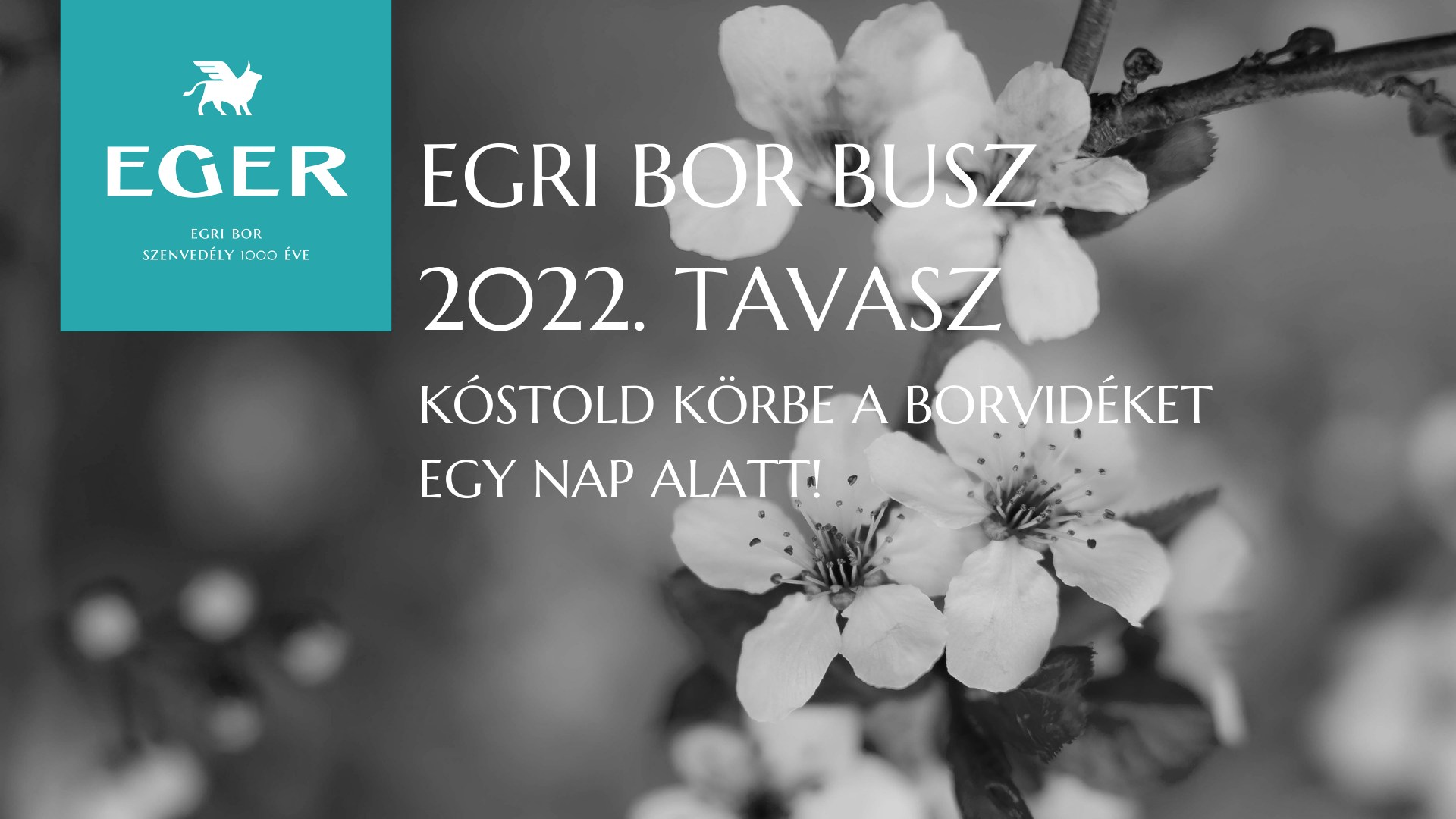 Eger Wine Bus - Spring 2022