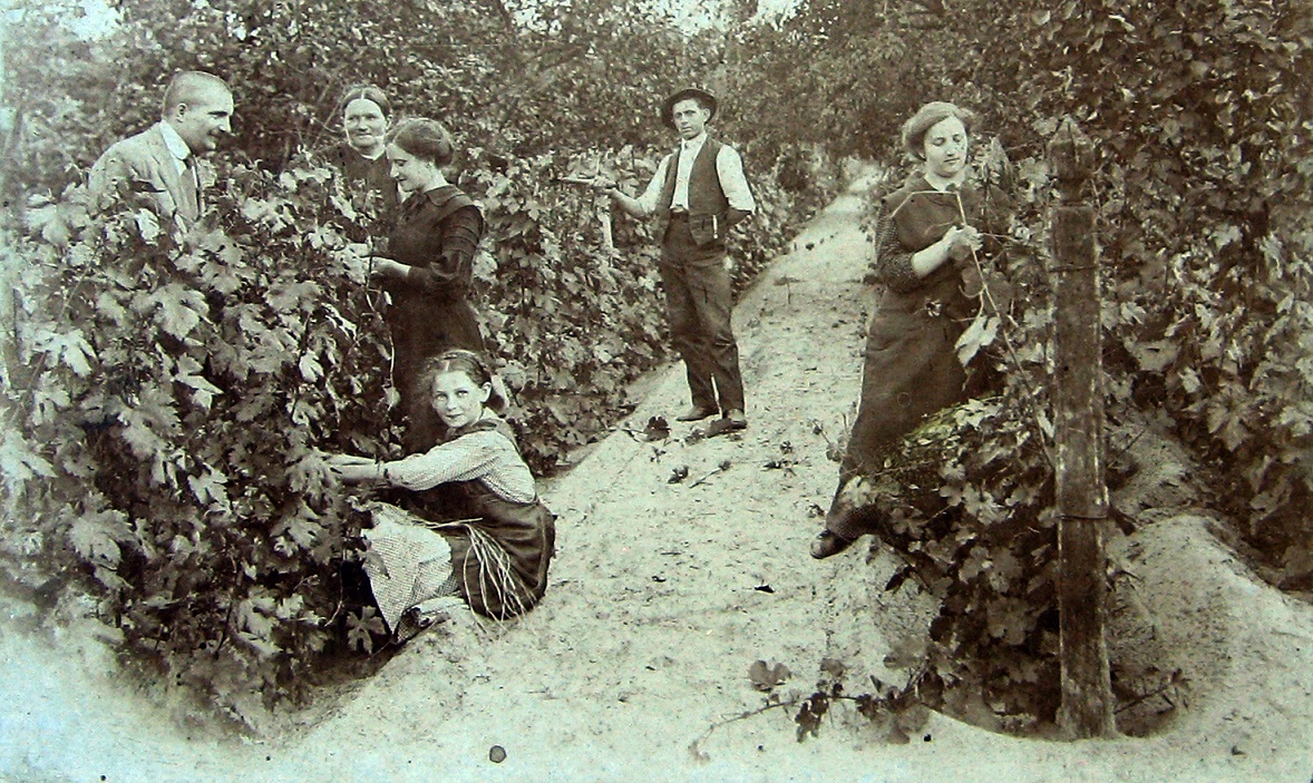 Centuries-old photographs bring Hungarian wine culture to life