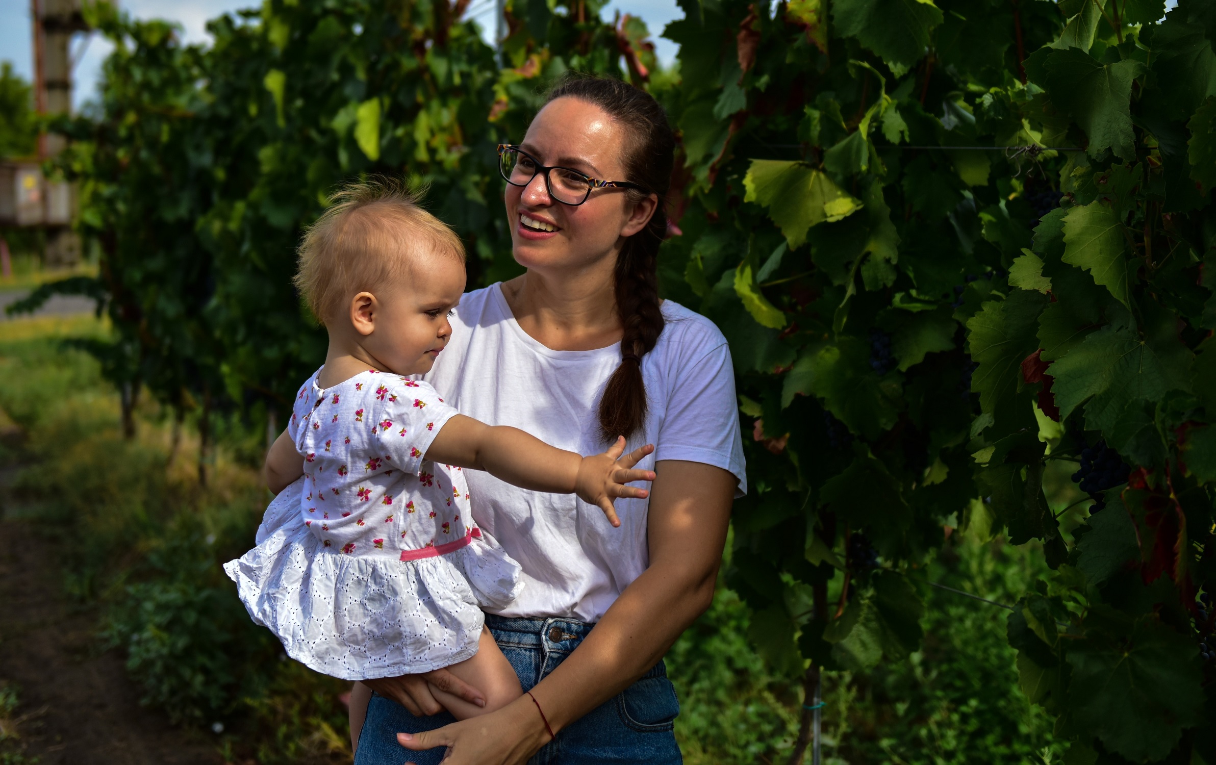 Harvest with Rózi – a visit to winemaker Anna Barta