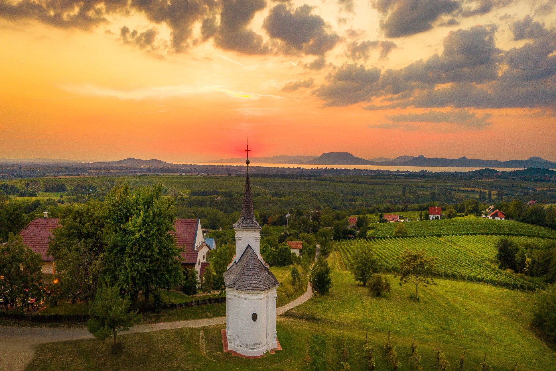 balatonboglar46jav_bor-hu