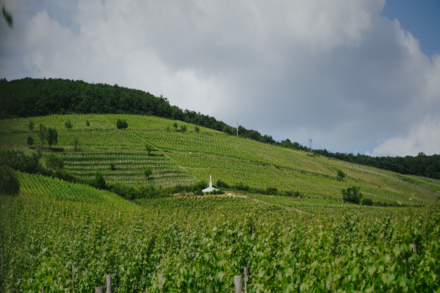 busC3A1k_attila_fotC3B3_st-andrea