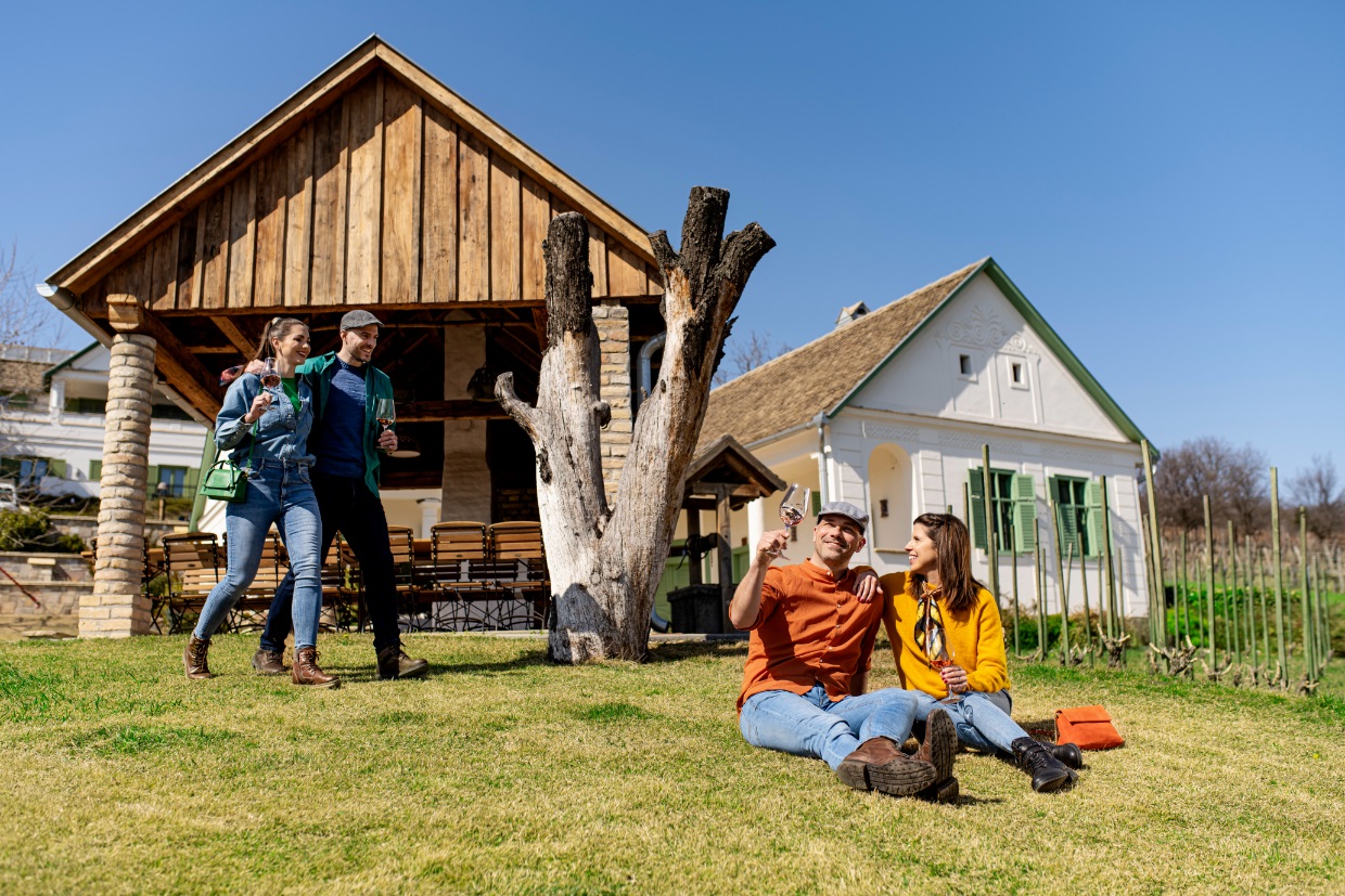 bb_22tavasz_szekszC3A1rd_takler_piknik_01