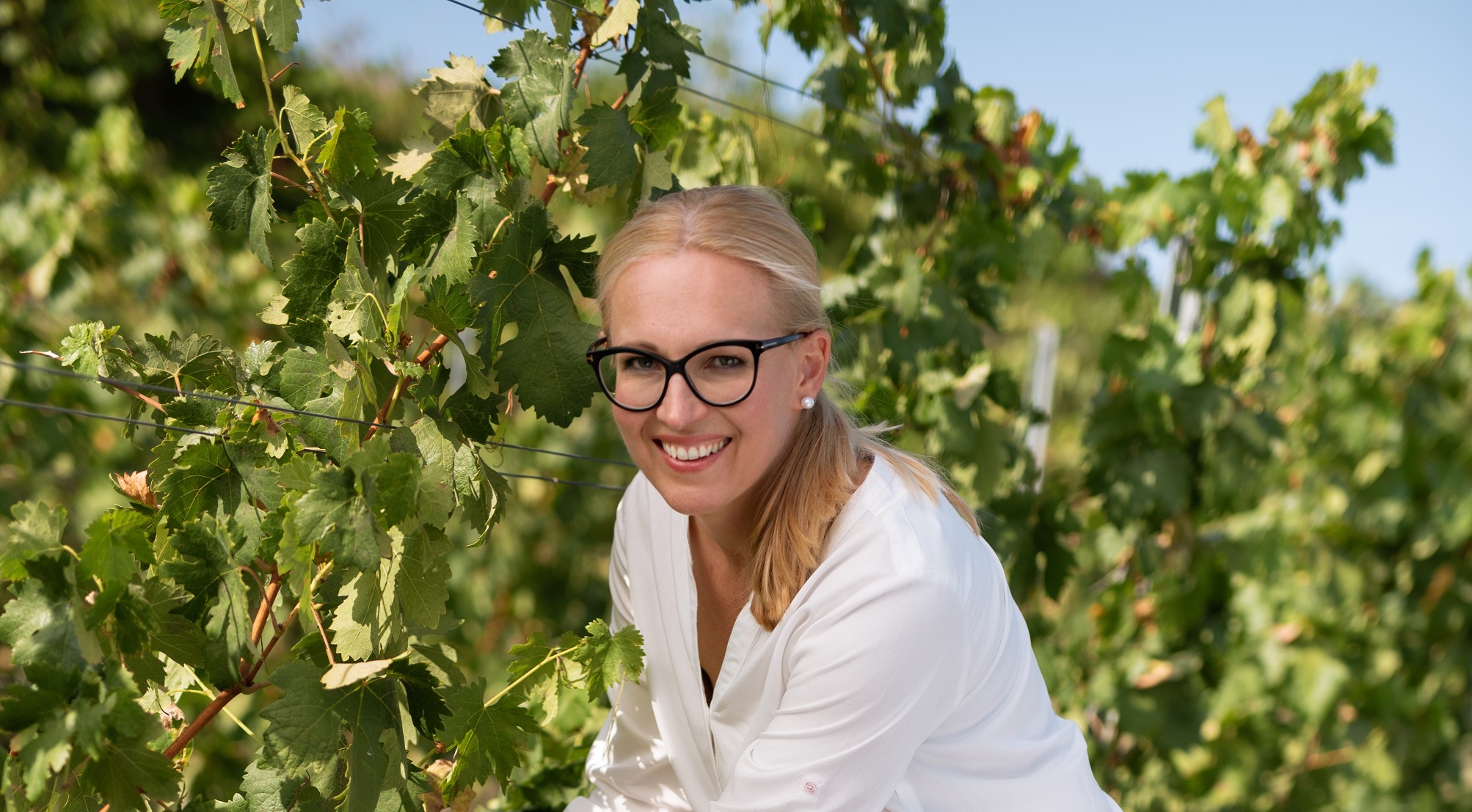 pC3B6rgetC591s_galC3A9ria_1.5B25D