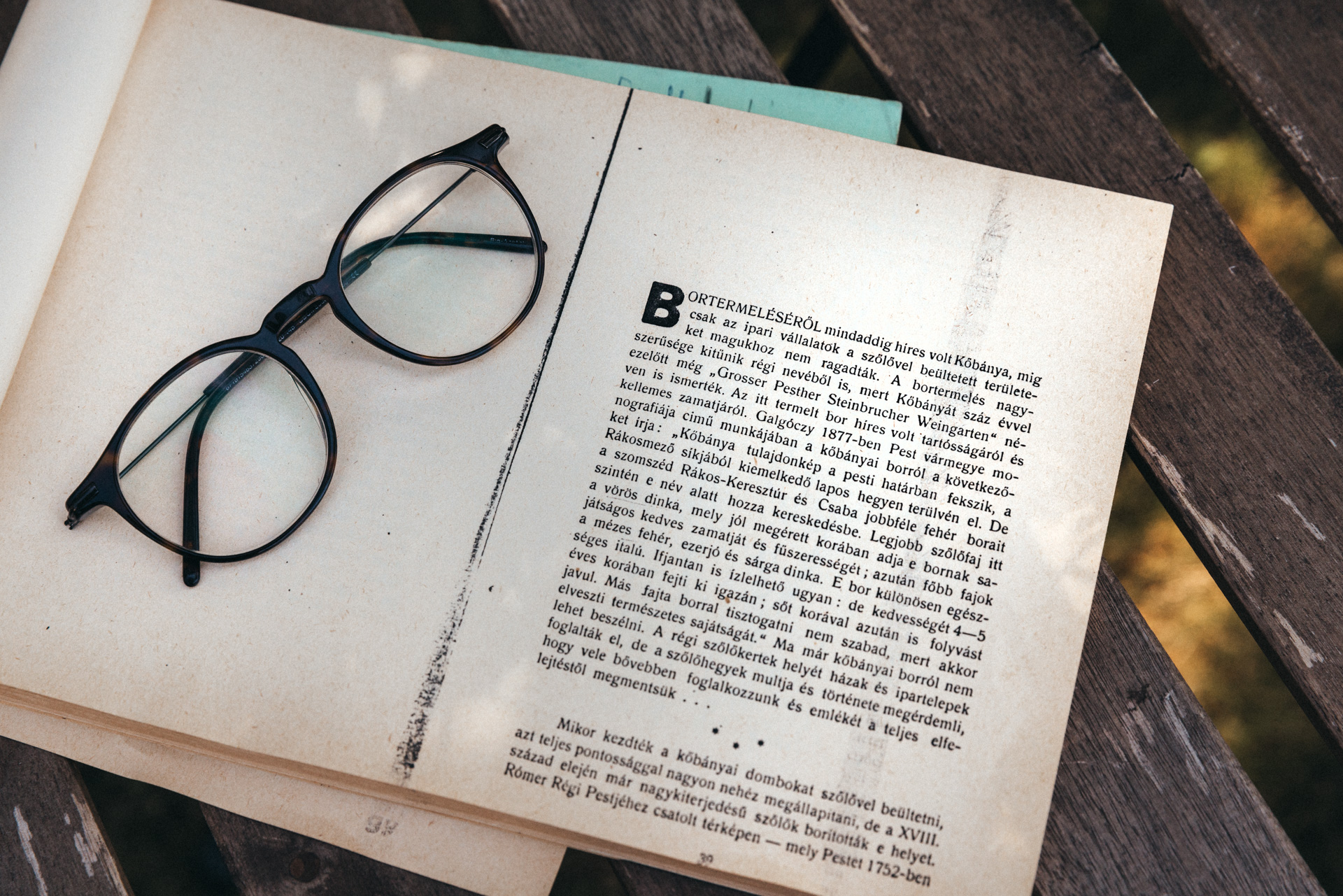 cC3ADmfotC3B3-kobanya_cikk_20240701_nandor_lang_lr57345_hd