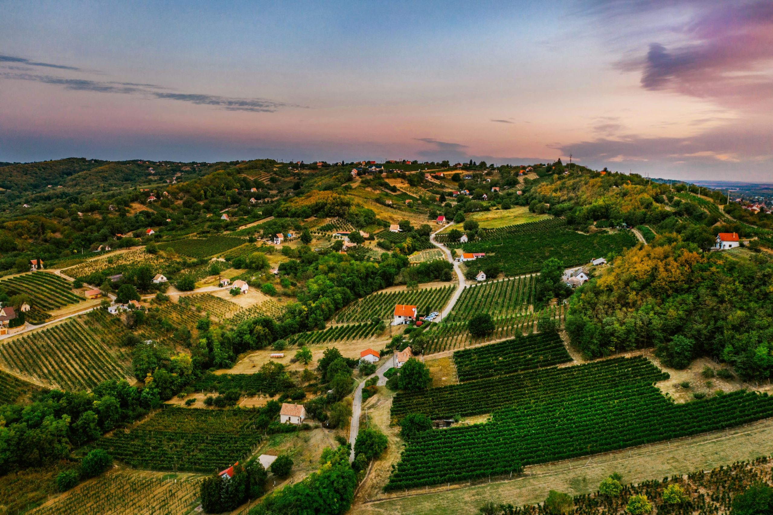 szekszC3A1rdi_borvidC3A9k-2jav_b