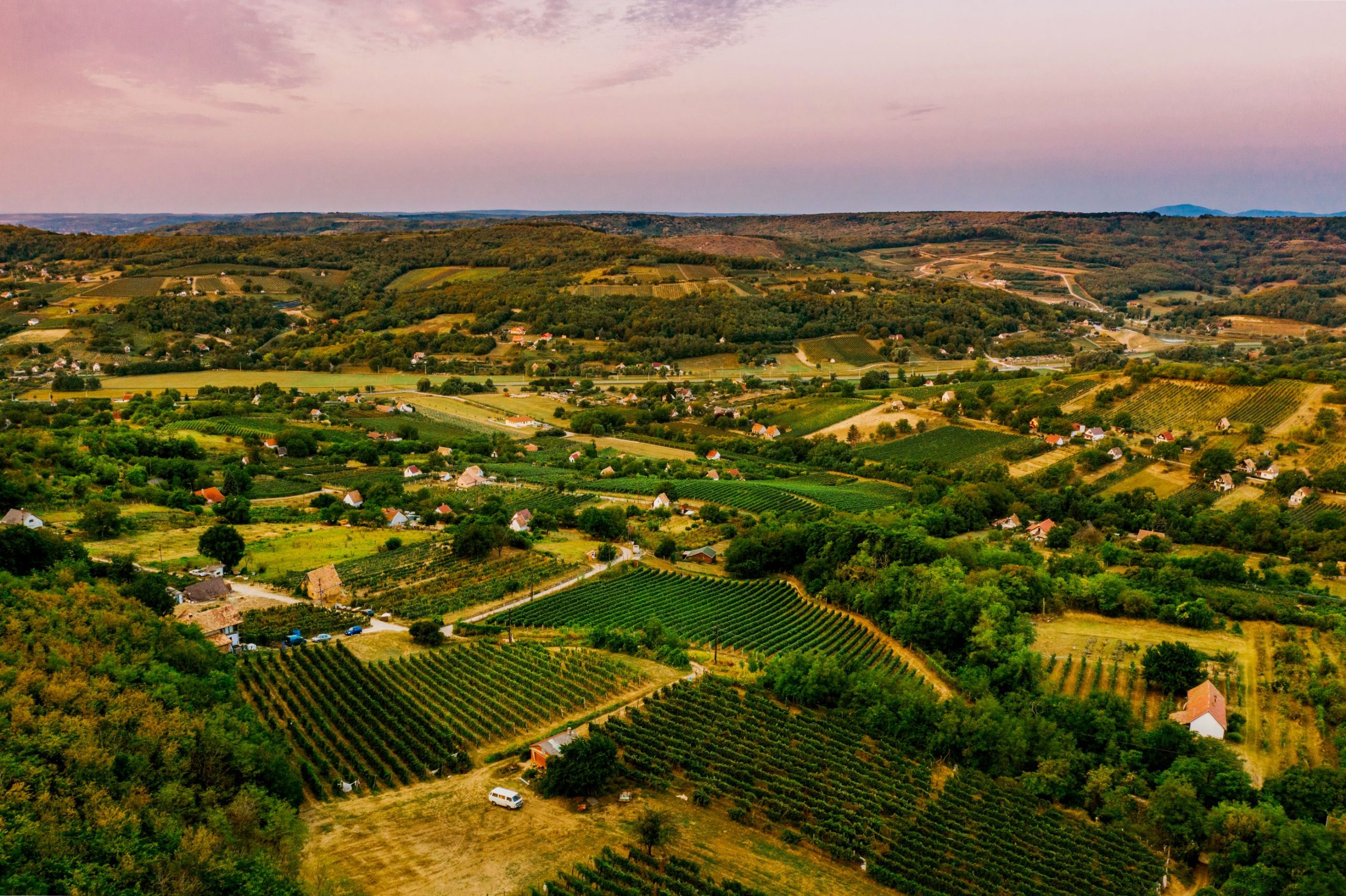 szekszC3A1rdi_borvidC3A9k-8jav_b