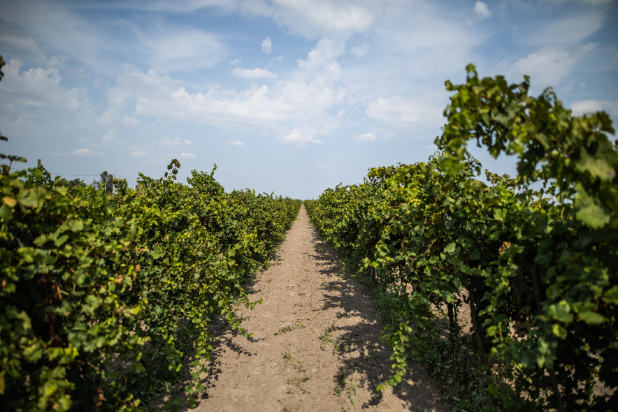 hero_897345234234234234234324