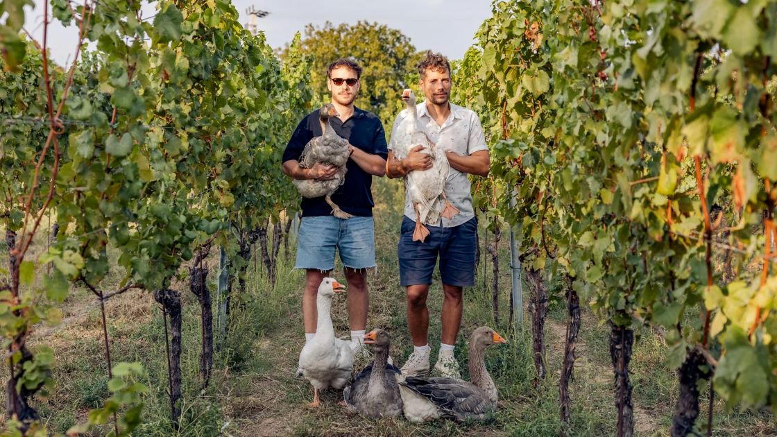 C3BAj_og_hero_libabC591r