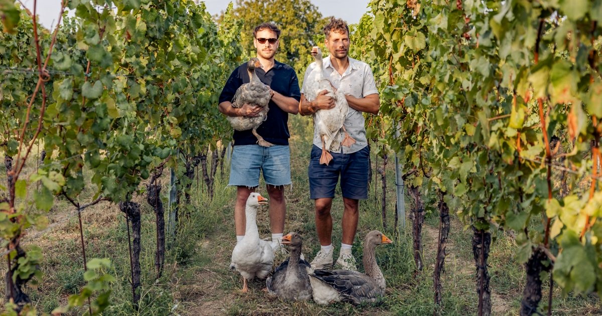 libabor_og_kep_1200x630