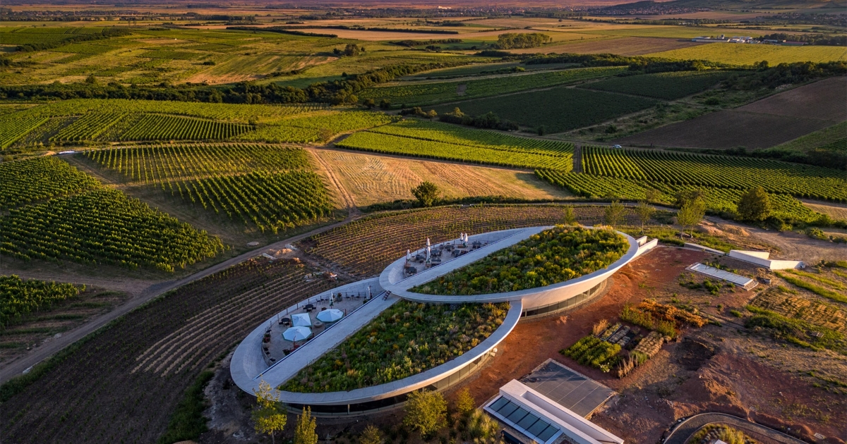 sauska_tokaj_lang_nC3A1ndor_og_kC3A9p_1200x630