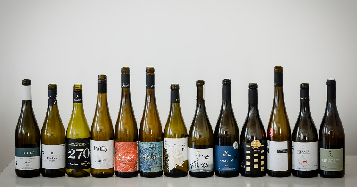 a_legek_legjei_foto__nemes_robert_-_og