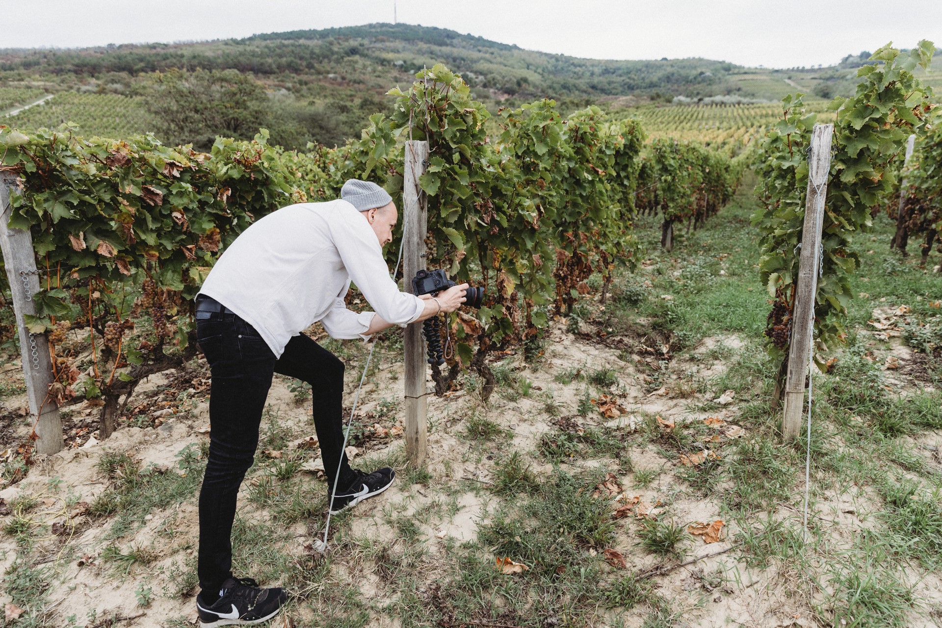 tokaj_konstantinbaum_nandorlang_hd-57269