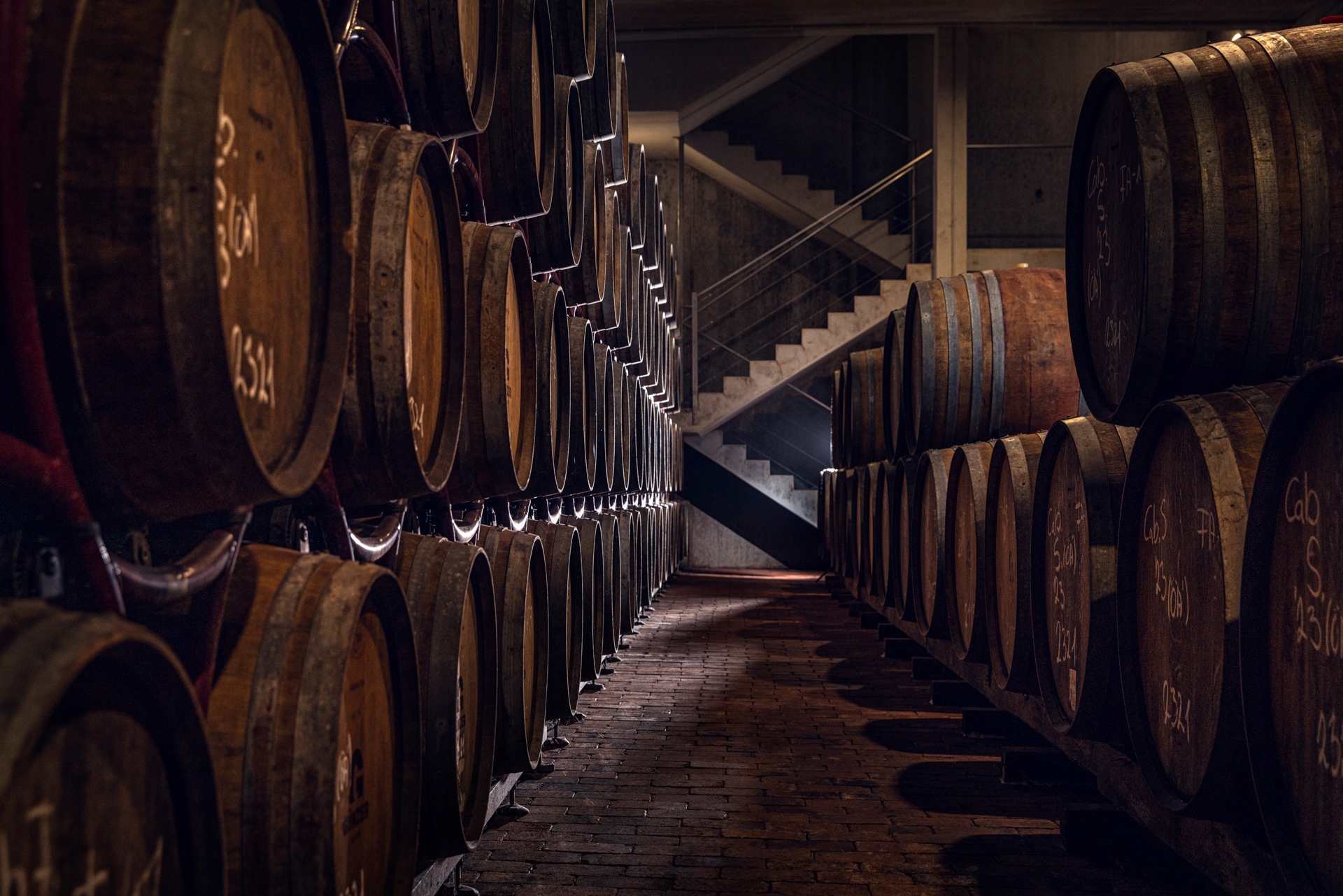 pince-villany_gunzer_lr53664_nandor_lang_20240327_hd