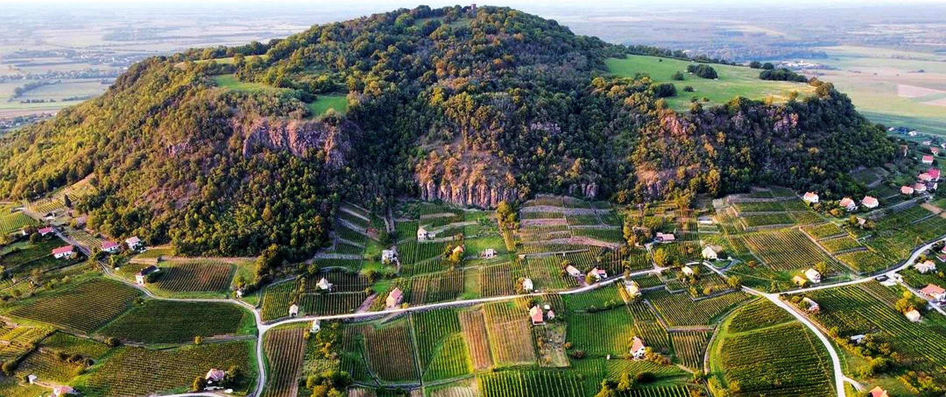 vino-camino-somlo-pincetura-slider