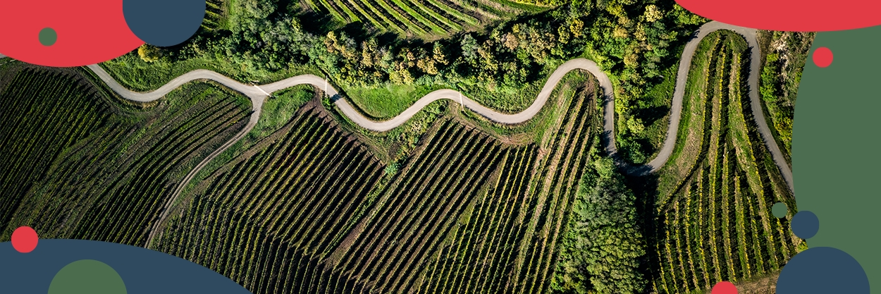 nemzetkozi_kampanyok_banner_minden_szoveg_nC3A9lkul