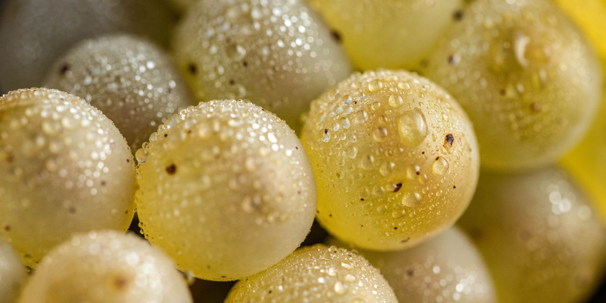 80836370a5e5521a59d16c79051a98f785d68654