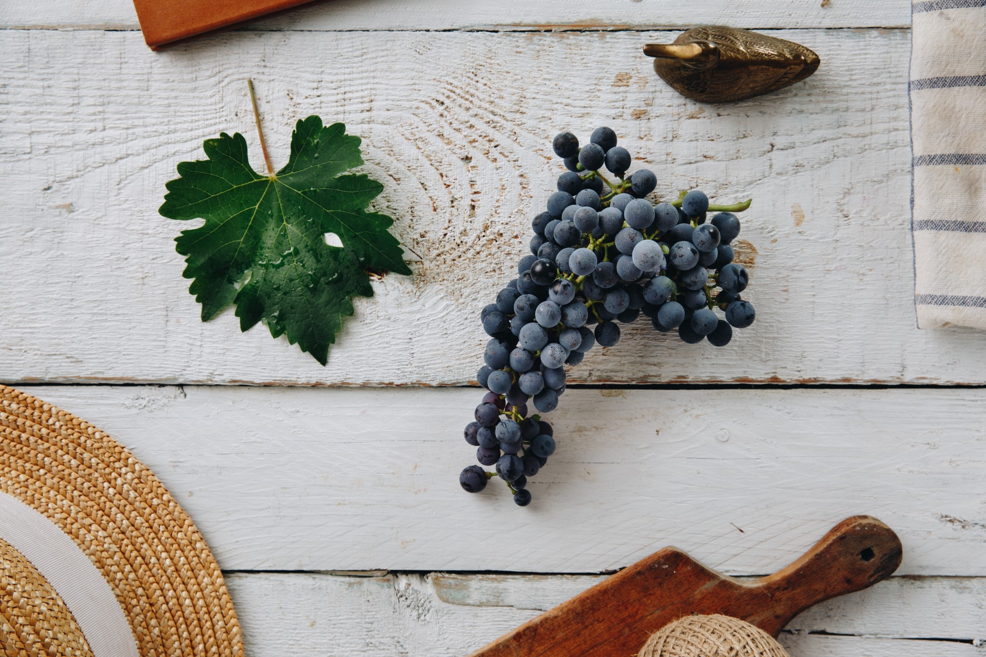 bd9490fc31aae60a393ec85fe84824f4f37d2906