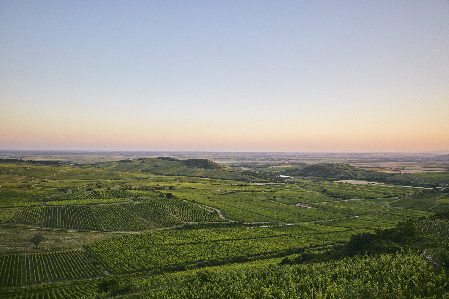 Tokaji borvidék hero
