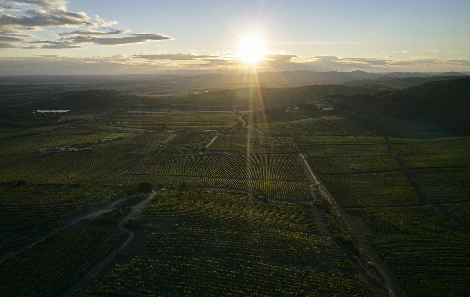 Tokaji borvidék hero