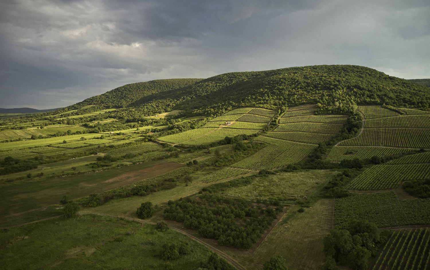 Tokaji borvidék termelőhelyek és eredetvédelem hero