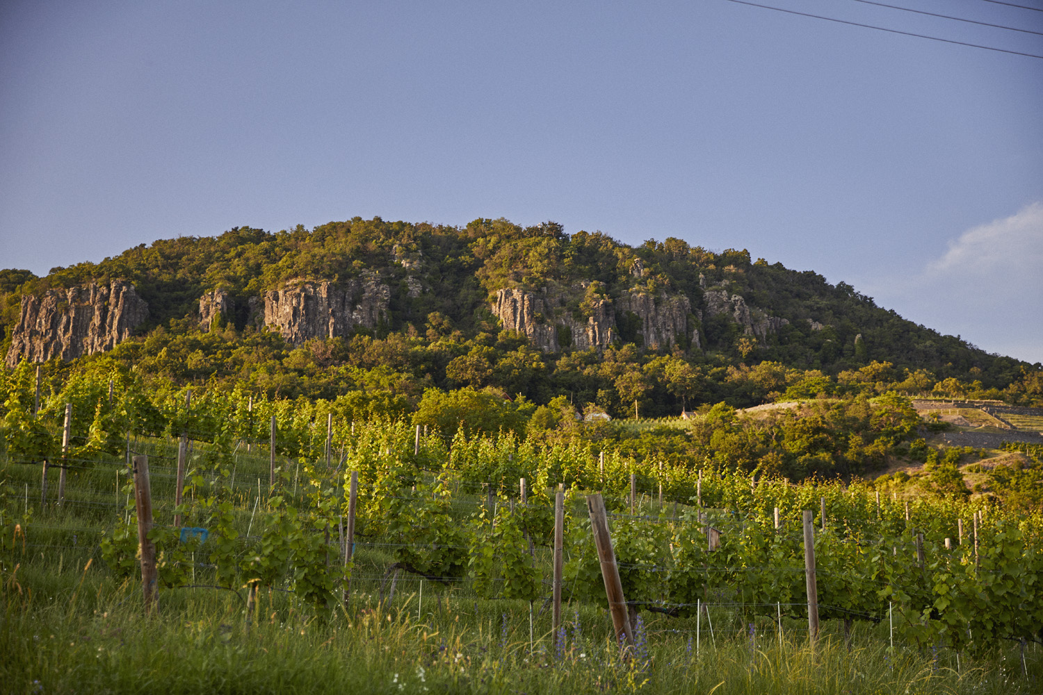Badacsonyi borvidék hero