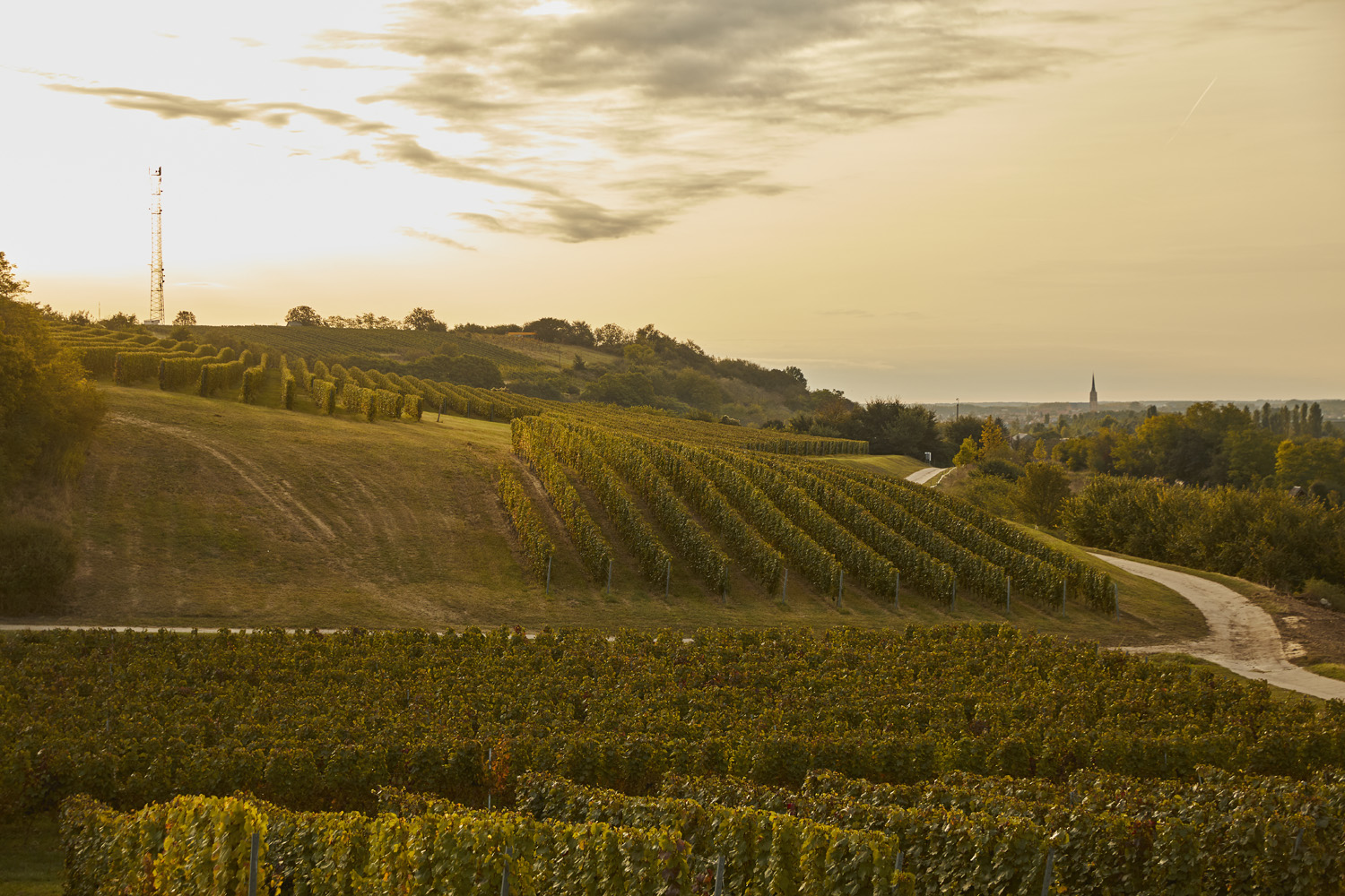 Szekszárdi borvidék hero