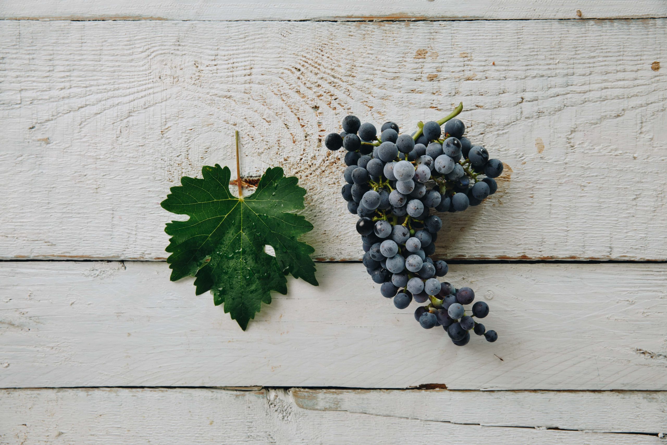 CabernetSauvignon hero