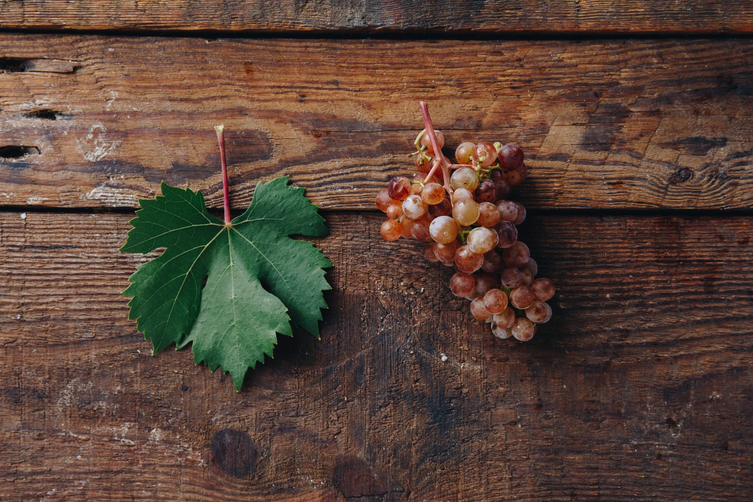 Cserszegifűszeres hero