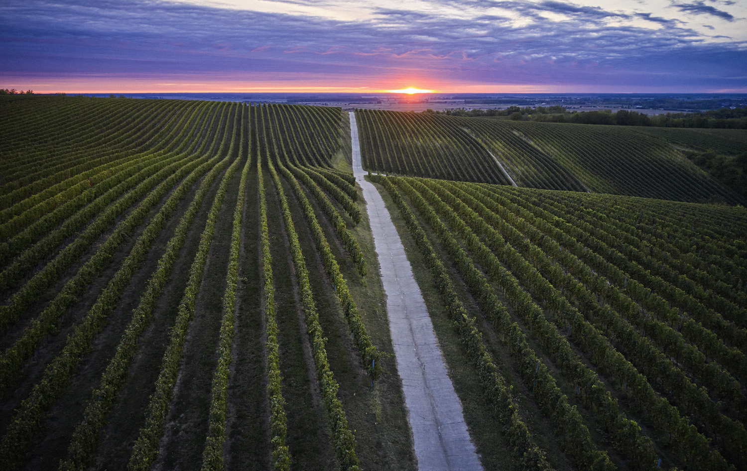Szekszárdi borvidékről hero