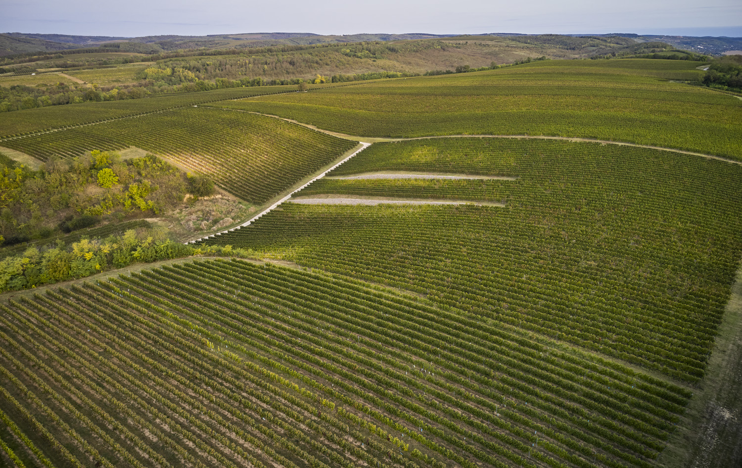 Szekszárdi borvidék termelőhelyek és eredetvédelem hero