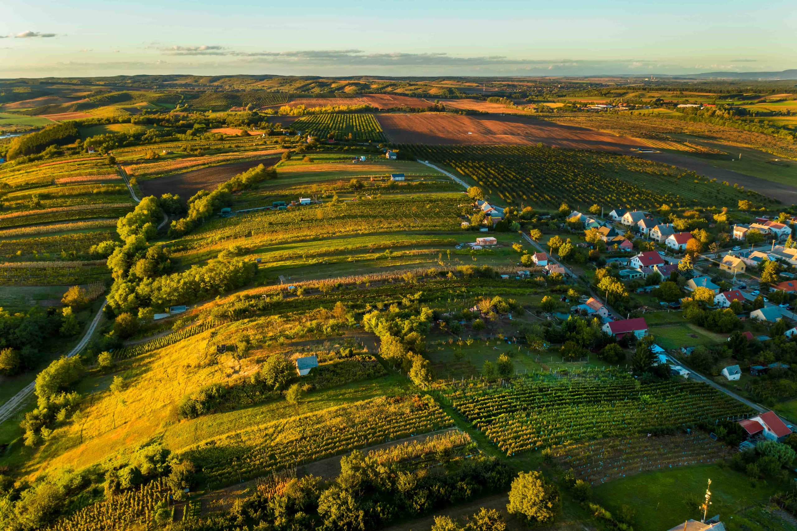 Móri borvidékről hero