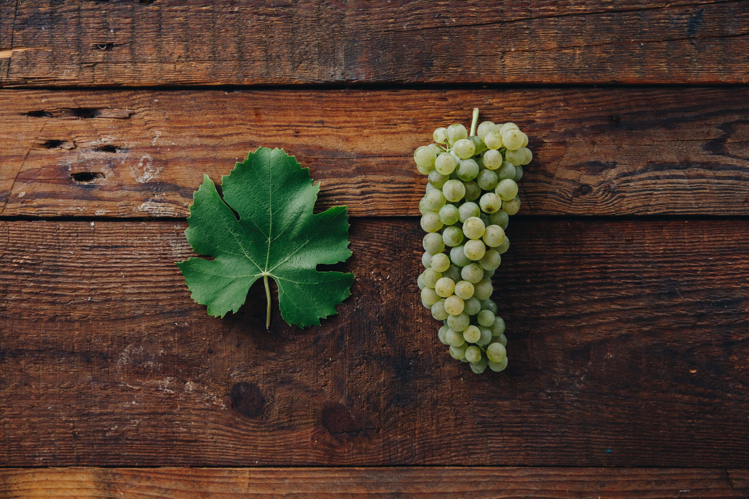 Rizlingszilváni hero