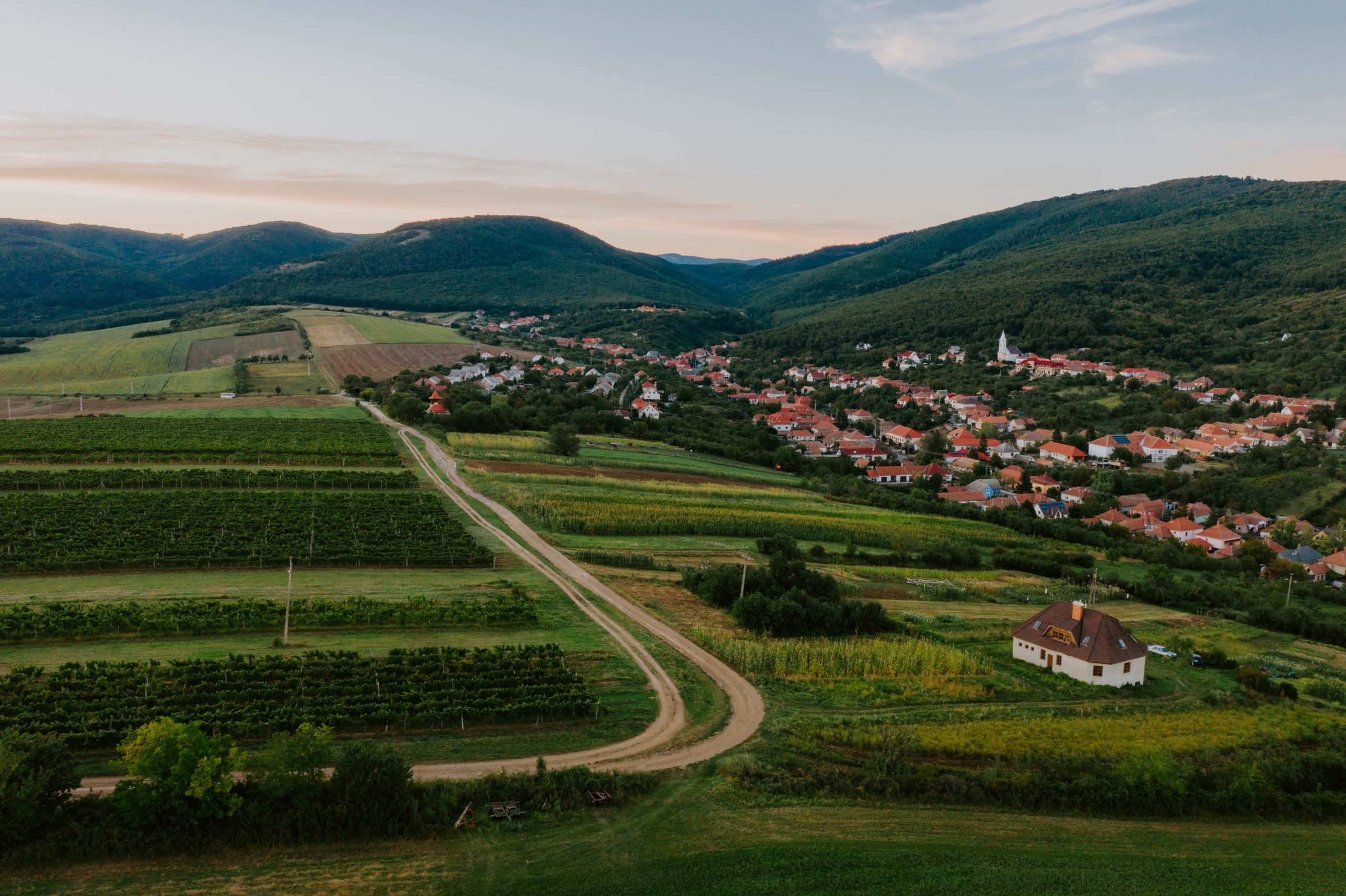 Bükki borvidékről hero