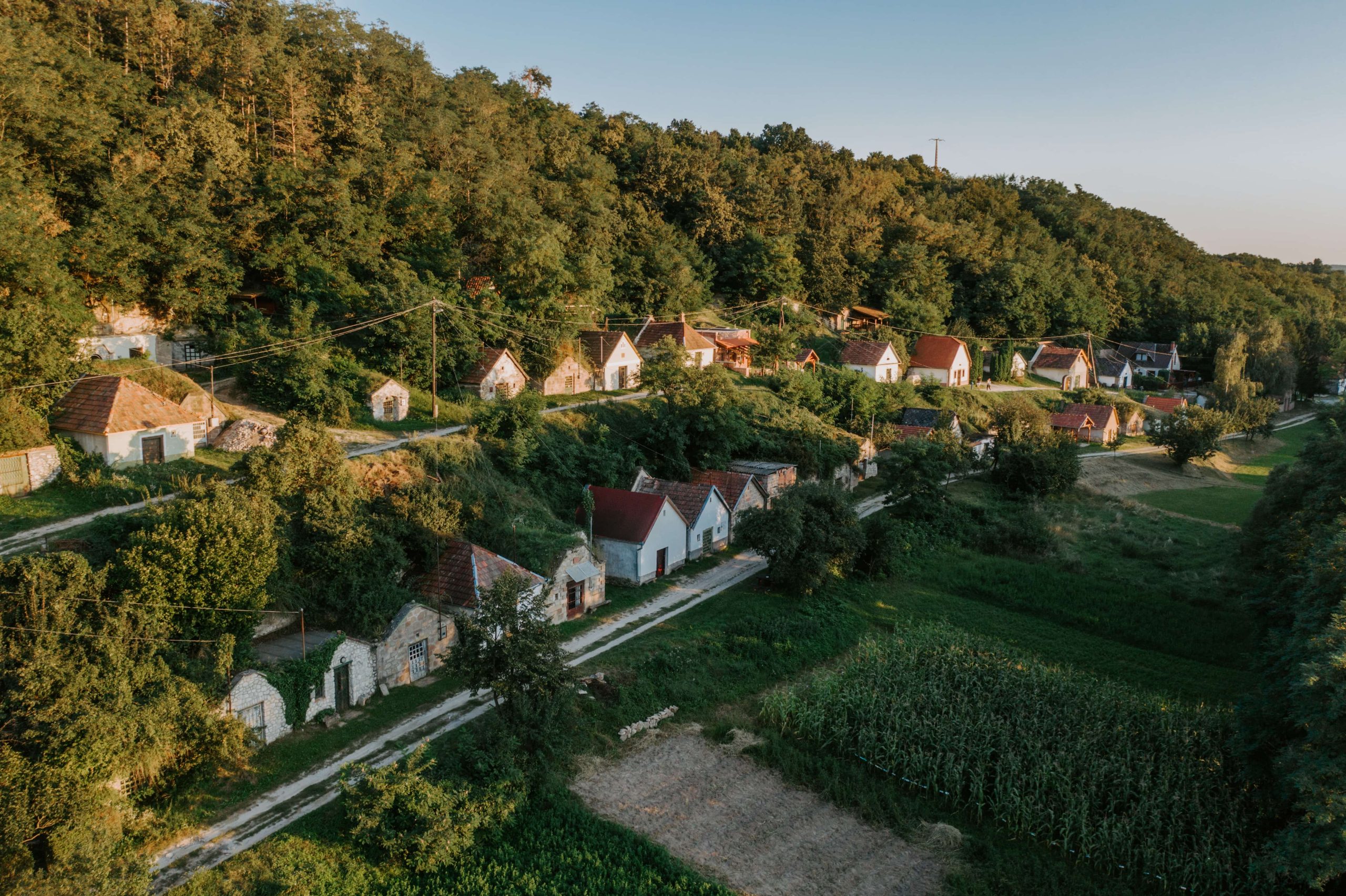 Bükki borvidék termelőhelyek és eredetvédelem hero
