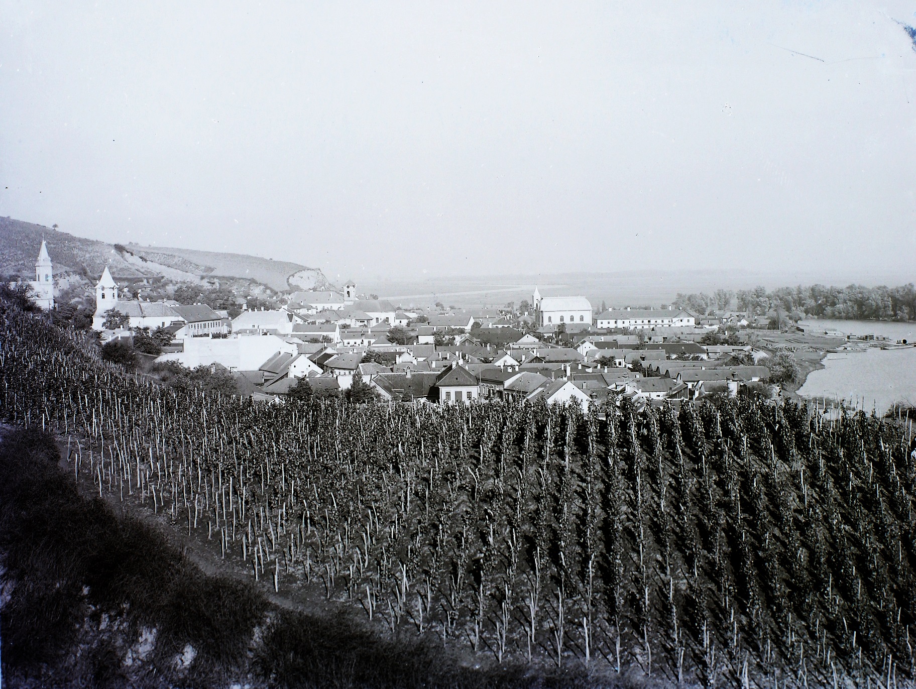 dulo magyar bor története