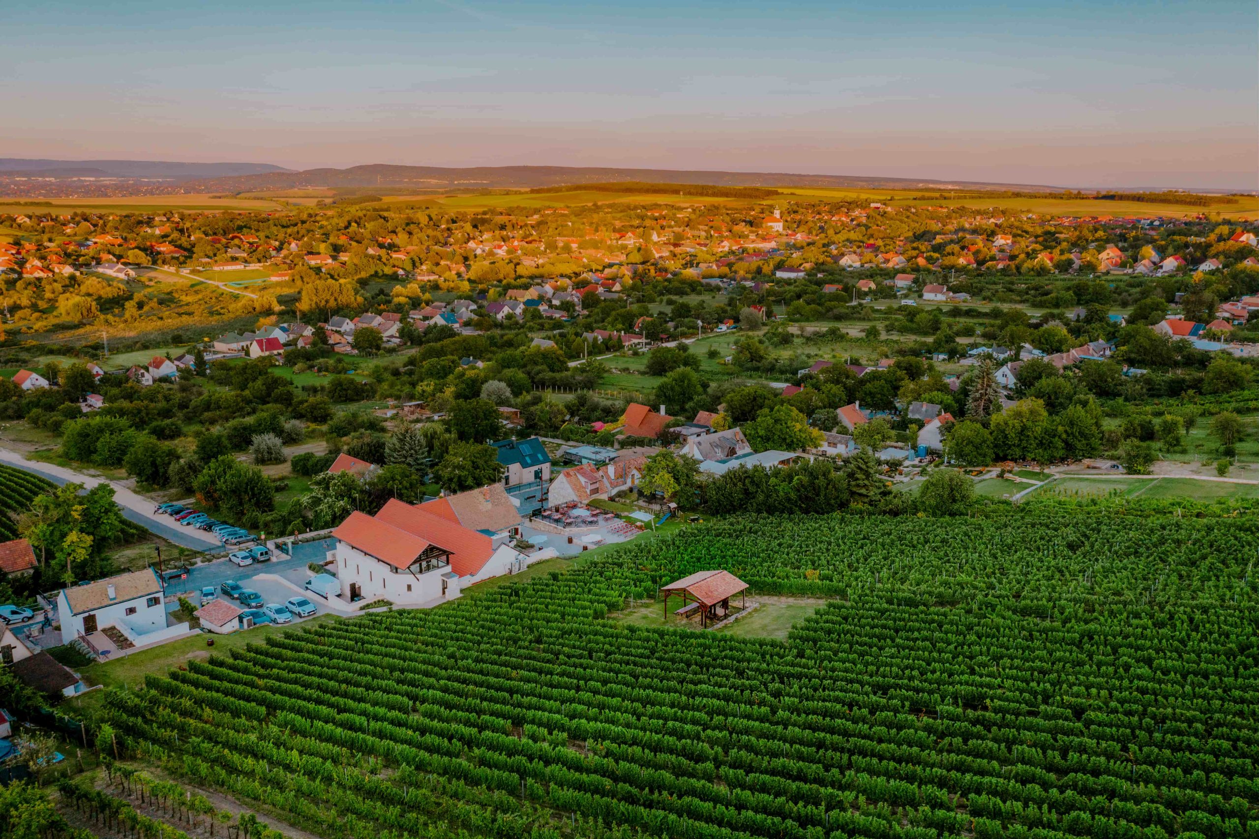 Etyek-Budai termelőhelyek és eredetvédelem hero