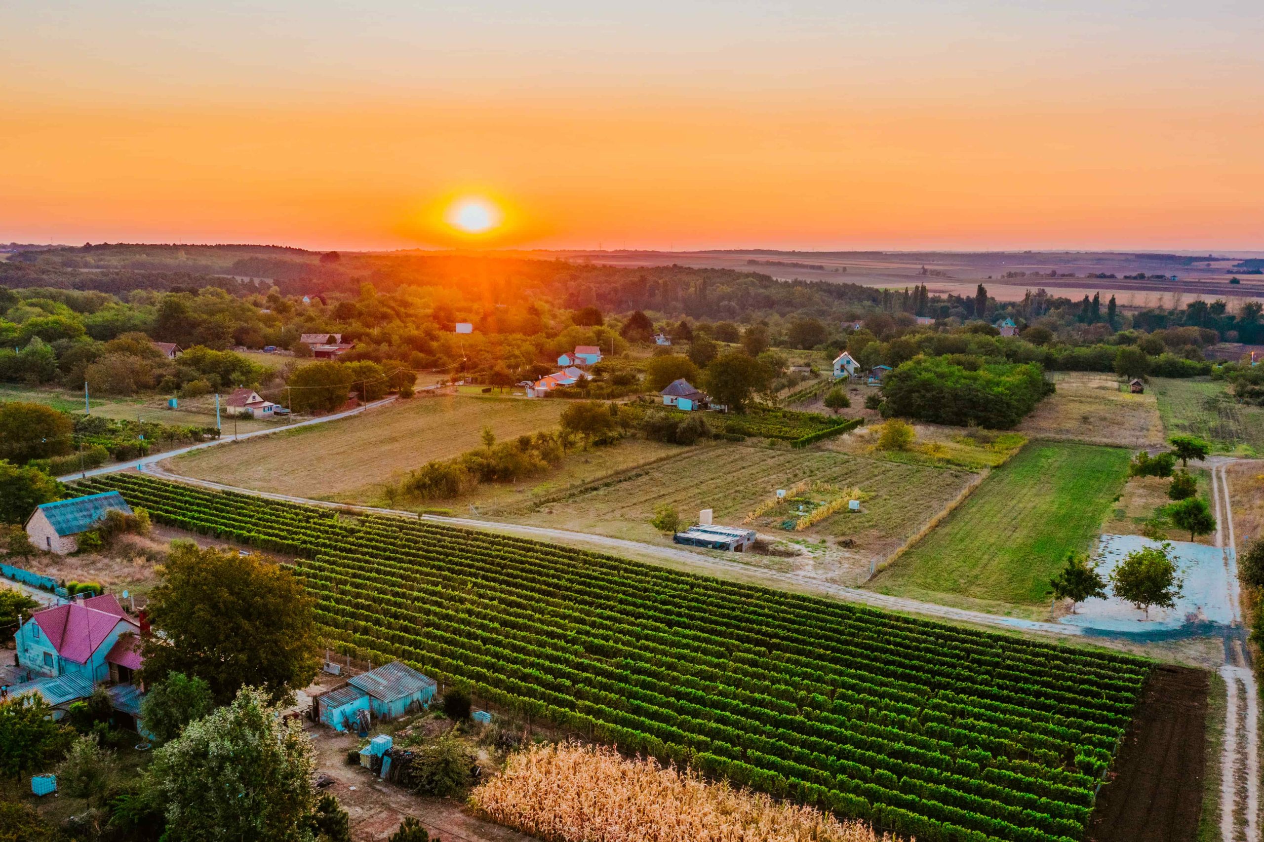 Kunsági természet és eredetvédelem