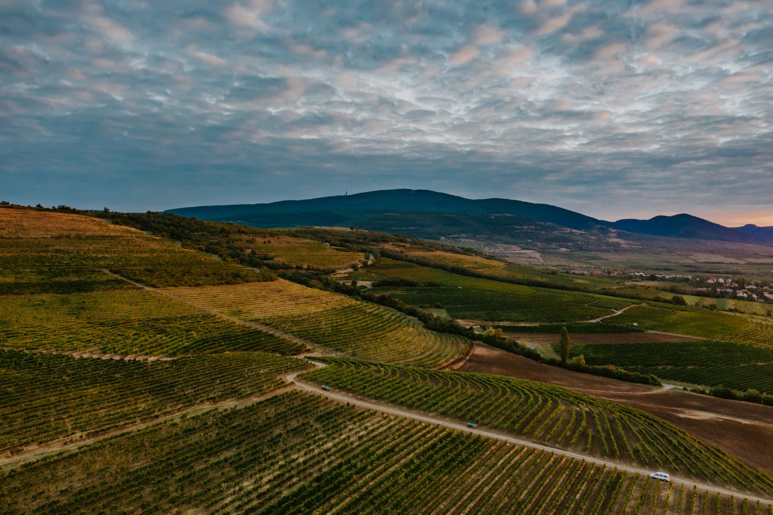 Mátrai borvidékről hero