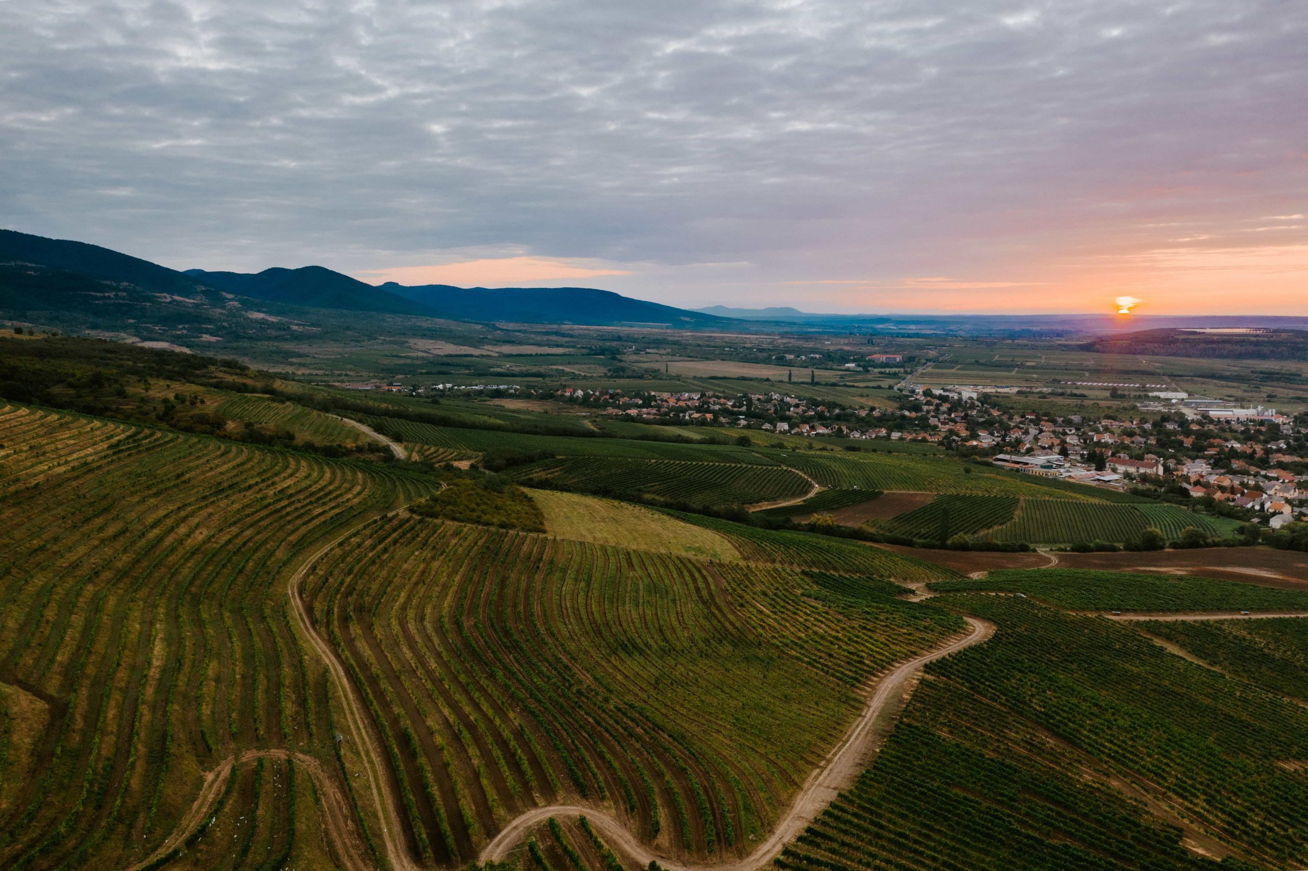 Mátrai borvidék termelőhelyek és eredetvédelem hero