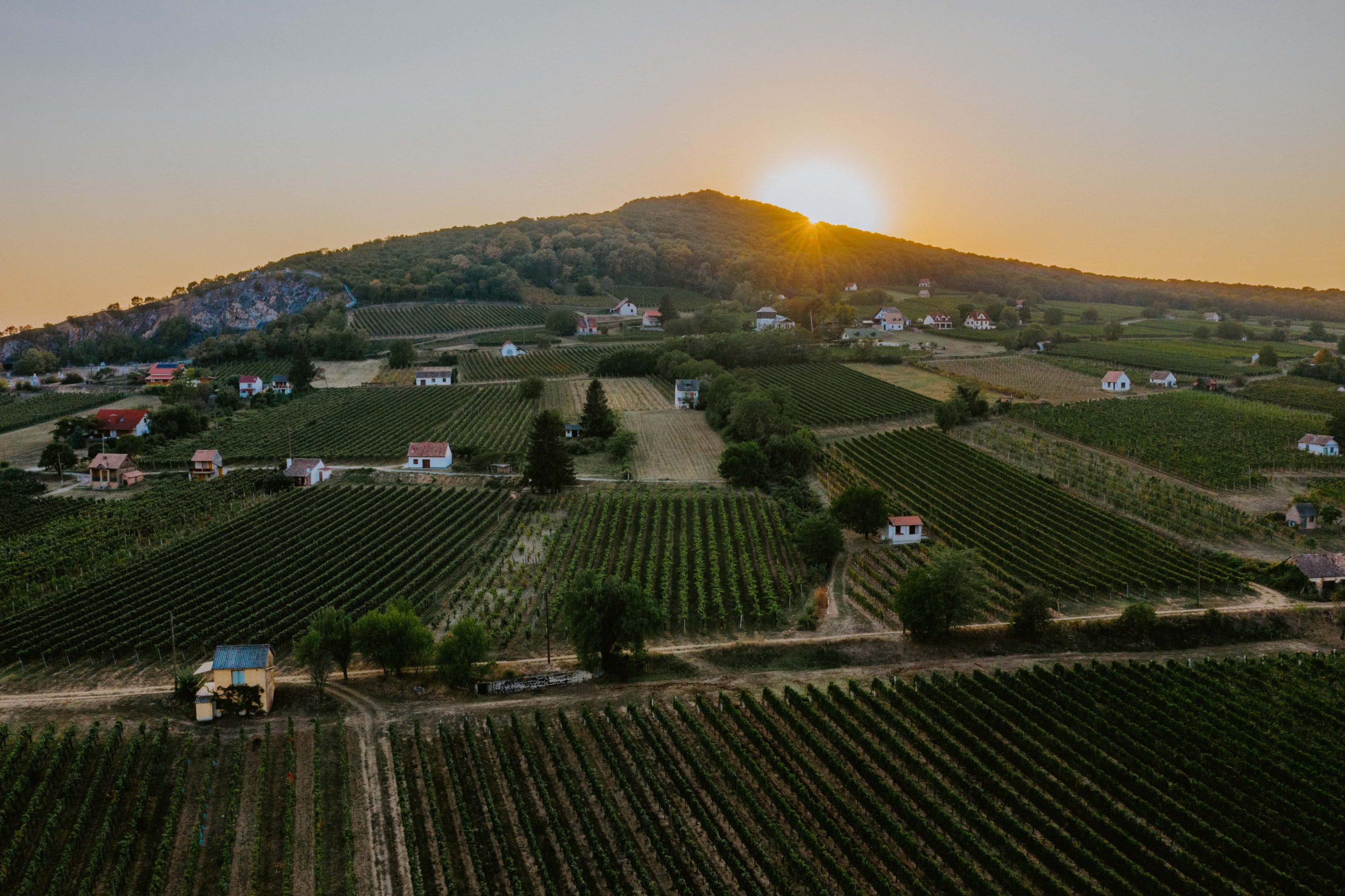 Villányi borvidék termelőhelyek és eredetvédelem hero