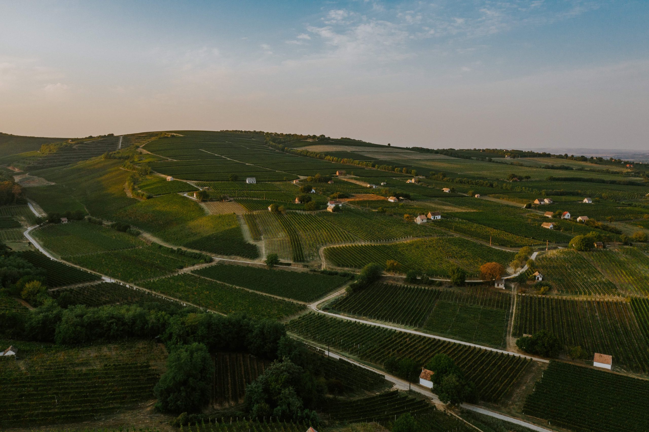 Villányi borvidékről hero